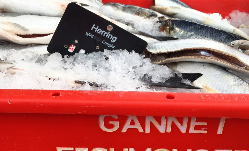 Food Producer Series – Gannet Fishmongers