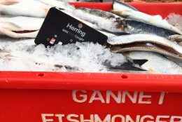 Food Producer Series – Gannet Fishmongers